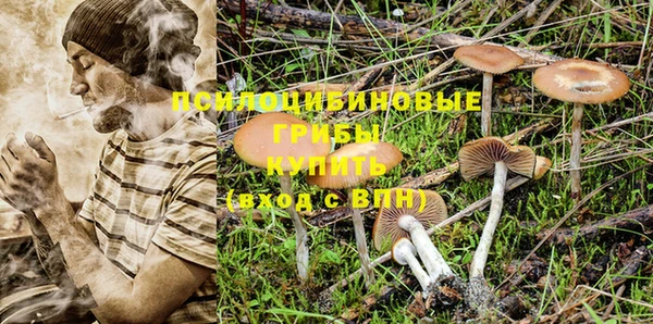 крисы Нефтекумск