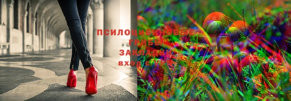 скорость Баксан